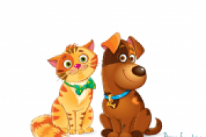 Лучшие друзья Кот и Пес