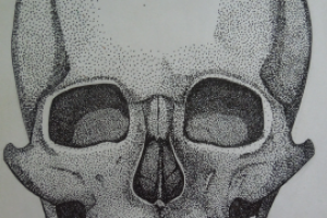 Работа 3320805