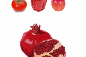 Работа 3320804