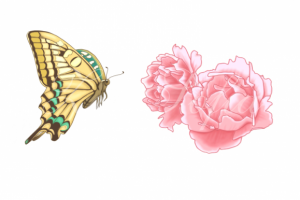 Работа 2916027