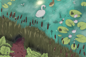 Гадкий утенок.