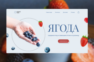 Дизайн лендинга / посадочной страницы для продажи ягод