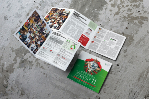 Буклет рождественского саммита, 2011