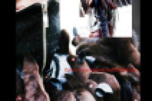 Работа 2240124