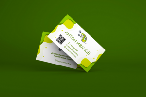 Двухсторонняя визитка для директора интернет-магазина "Vobler76"