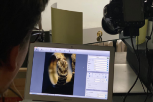 Фотография ювелирных изделий