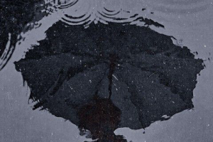 Пример сведения