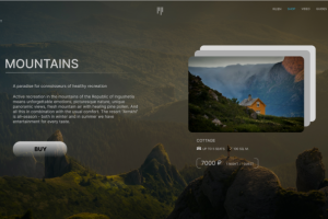 компания по путешествиям