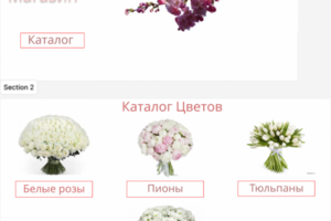Создание  веб контента ,банеров и презентации