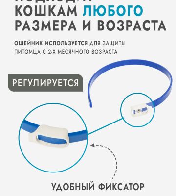 img4430628.png