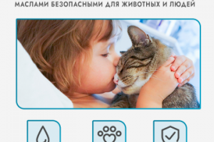 Дизайн карточки товара для Wildberries