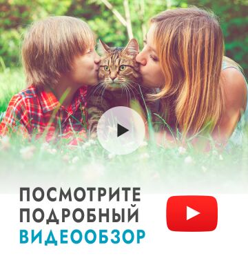 img4430631.png