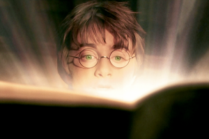 Мемуары арбитражника. Или как вытрясти бабла с Поттероманов. 2