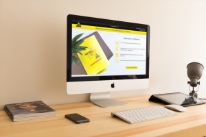 Промо сайт для франшизы сети магазинов