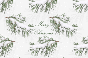 еловая ветвь