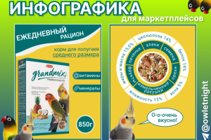 Инфографика