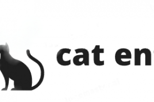Логотип для компании Cat ent