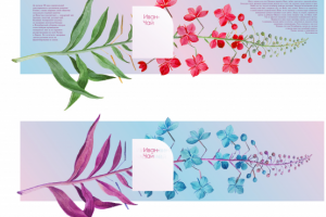 Этикетка Иван-Чай