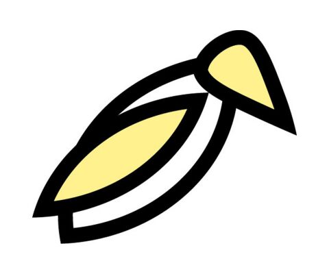 img4313423.png