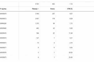 Сеть посуточной аренды квартир. CTR 7,16 | ср. цена клика -15,11