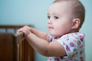 Работа 3161853