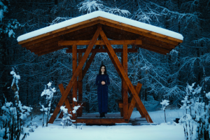 Работа 3161851