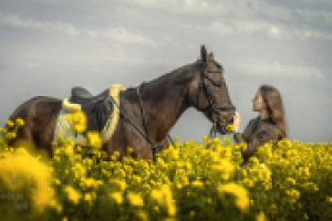 Работа 2562380