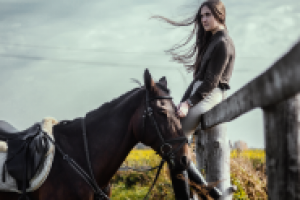 Работа 2562376