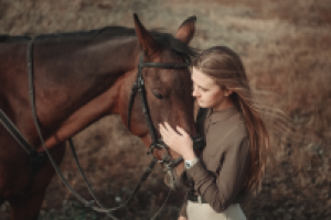 Работа 2562374