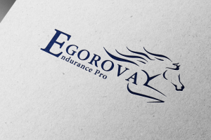 Логотип для конной команды