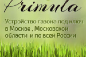 Вёрстка лендинга "Газоны Primula"