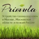 img2730910.png