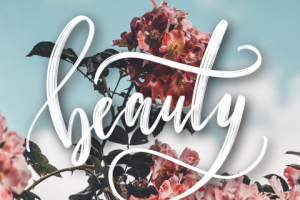 Каллиграфия