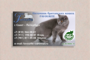 Визитка для кошек