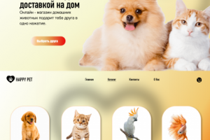 Дизайн 2-х блоков страниц сайта для интернет-магазина