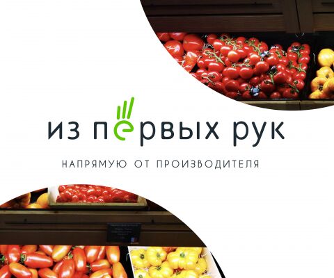 img3784515.png