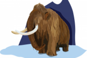 векторная отрисовка по фото