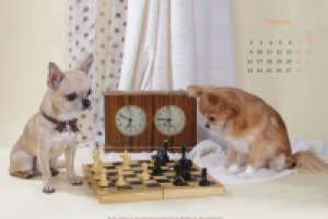 страница календаря А3