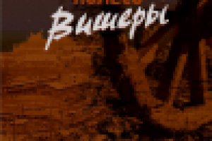 Обложка книги. ВИШЛАГ.