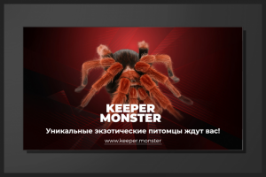 Разработка дизайна баннера