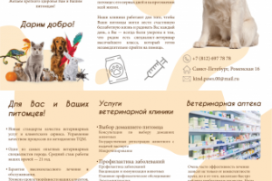Дизайн буклета ветеринарной клиники.