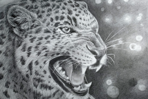 557 регистраций по 279 руб для онлайн-школы рисования