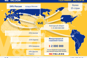 Инфографика для презентации.