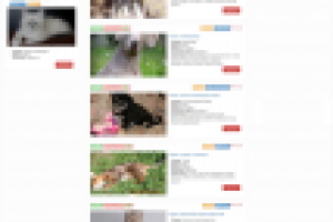 Каталог домашних животных petsmate.ru