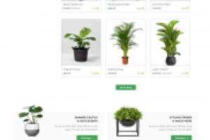 Single Page Aplication(React)