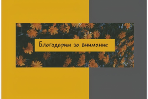 Презентация к дипломной работе