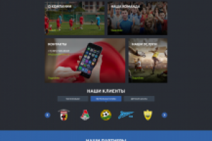 Разработка сайта по организации футбольных команд