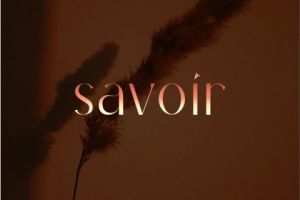 Шрифтовой логотип