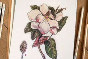 Работа 3235516