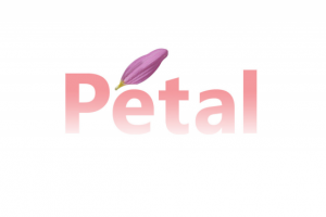 Работа 3235445